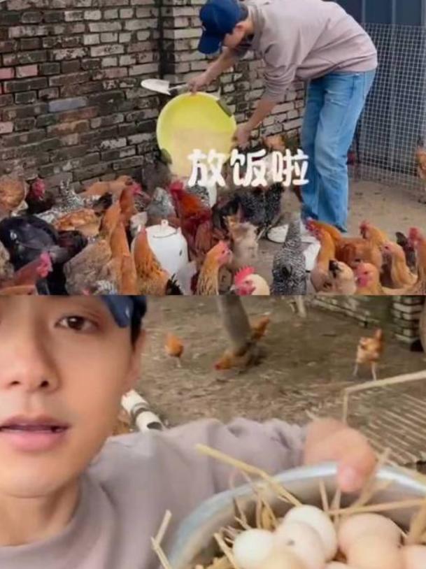 于朦胧出事后，突然佩服马天宇，能果断退下来养鸡种菜开农场，不贪恋娱乐圈带来的名利