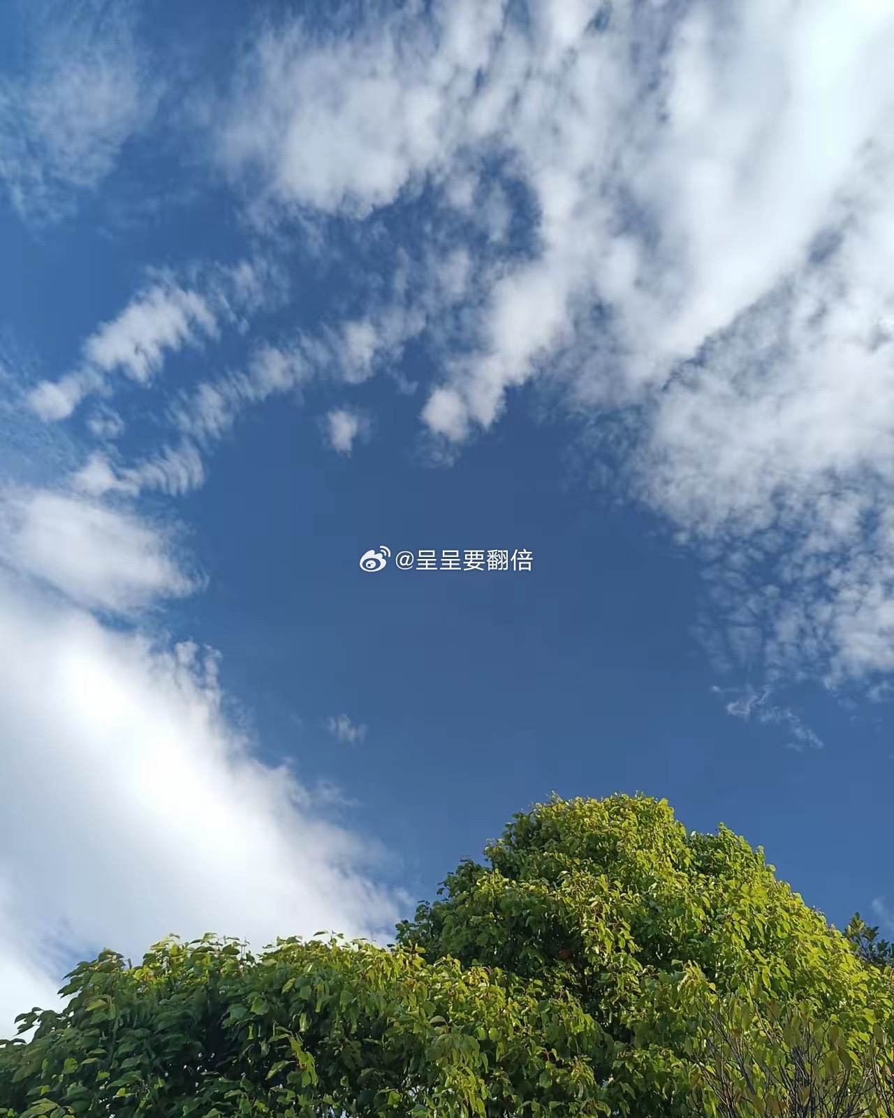 早上好，散户终于恐惧的发现：科技股现在已经不需要老登股比如银保证来稳住上证指数了