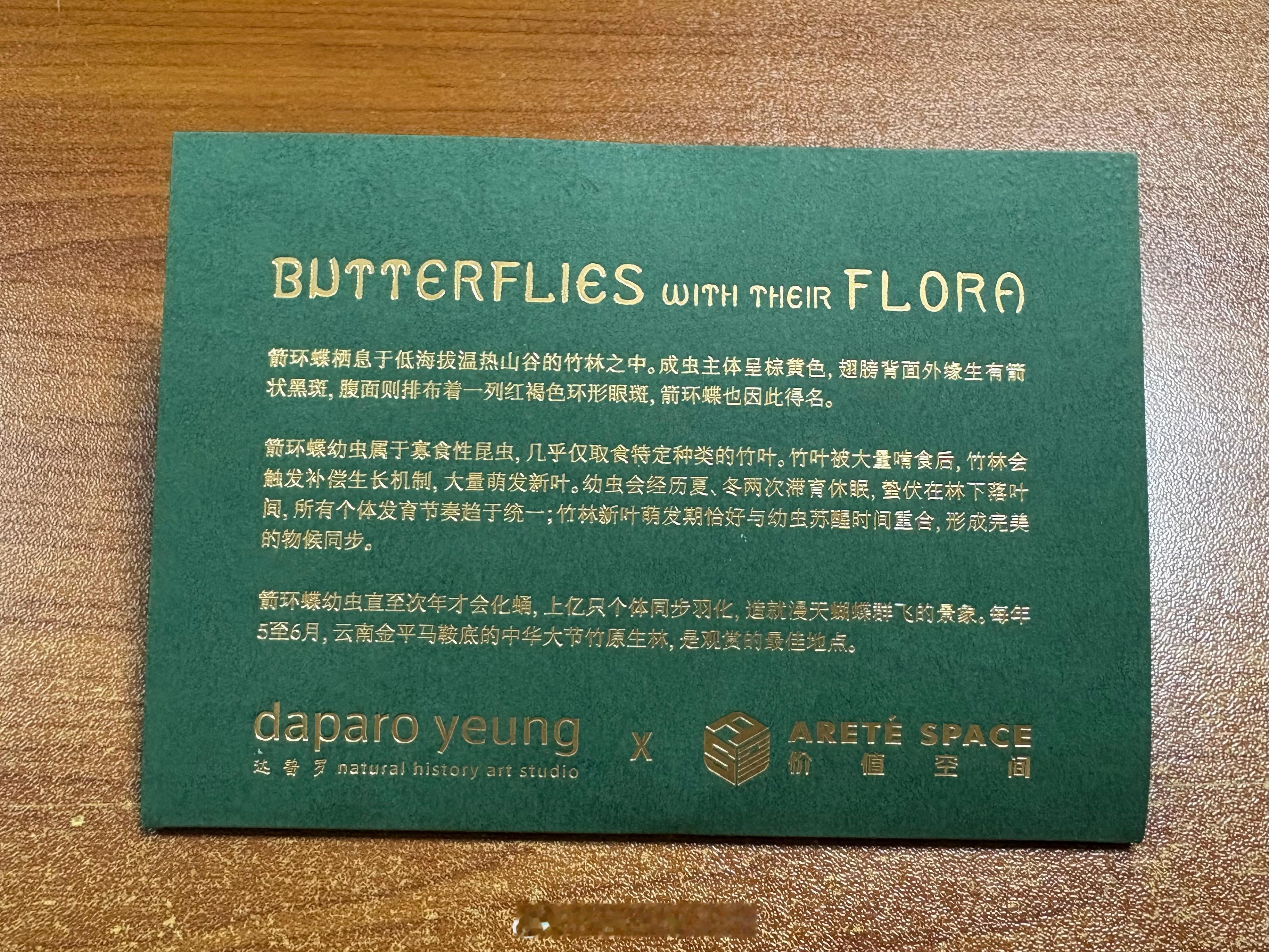 秋天飞来一只 箭环蝶/Stichophthalma howqua。它提醒我，Su