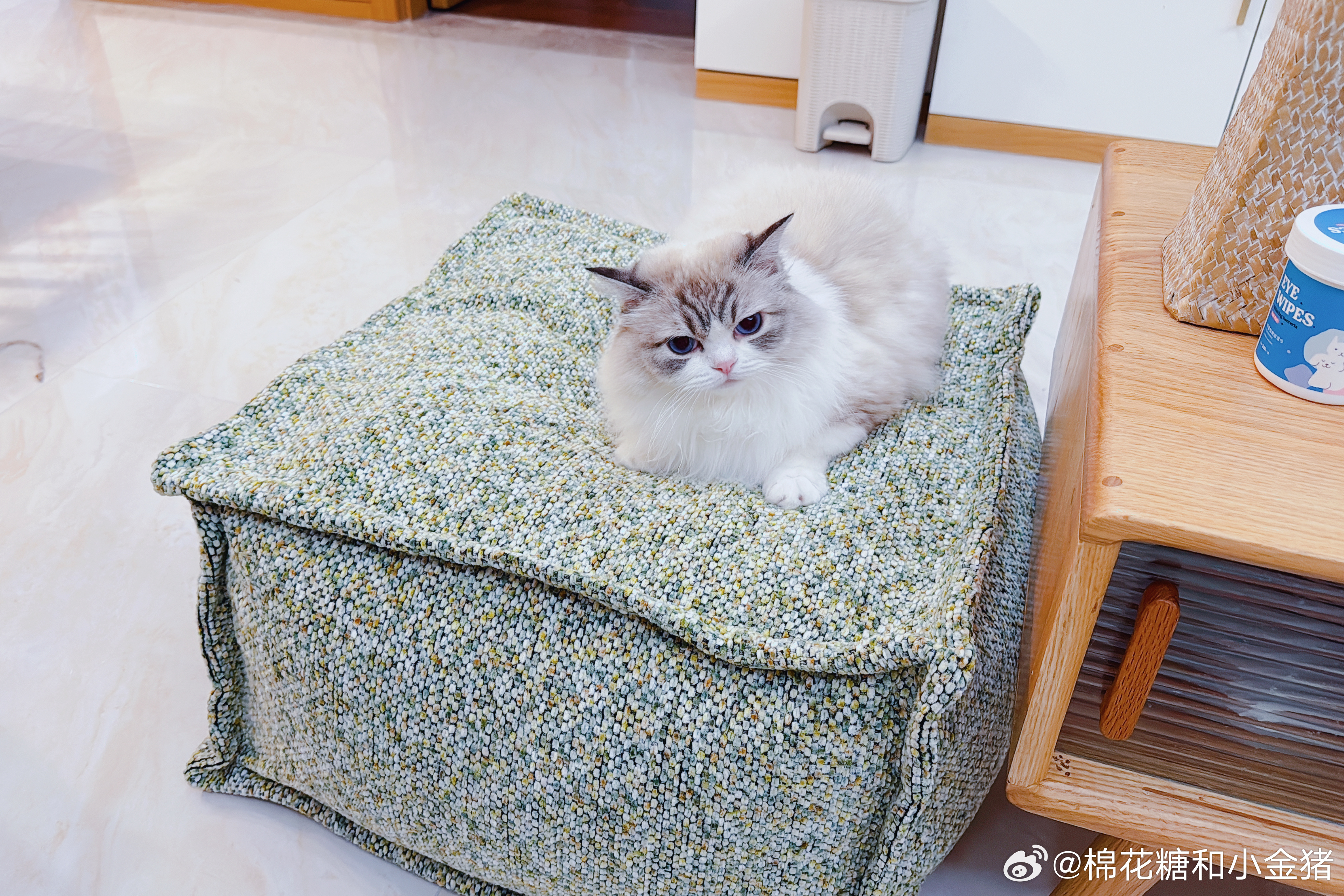 好小哦糕糕 