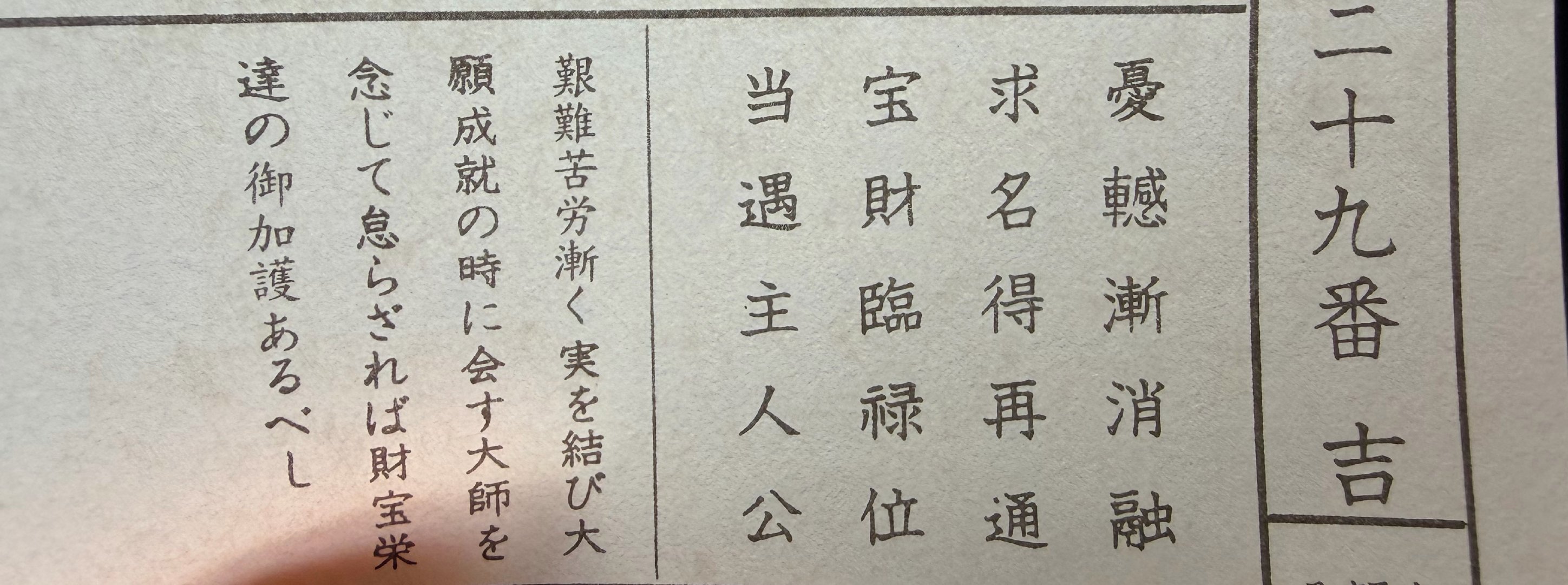 把自己养成高精力了每天都得出门遛遛 