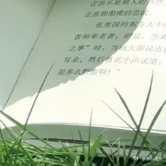 🍀给生活做减法，做个可爱的人，不烦世事，满心欢喜，只要来日可期，今天就值得欣喜
