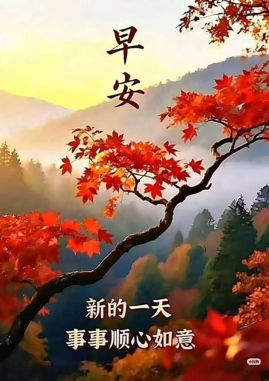 早安！今天是8月22日星期六，女排亚锦赛第二天，今晚19点30分中国女排对伊拉克