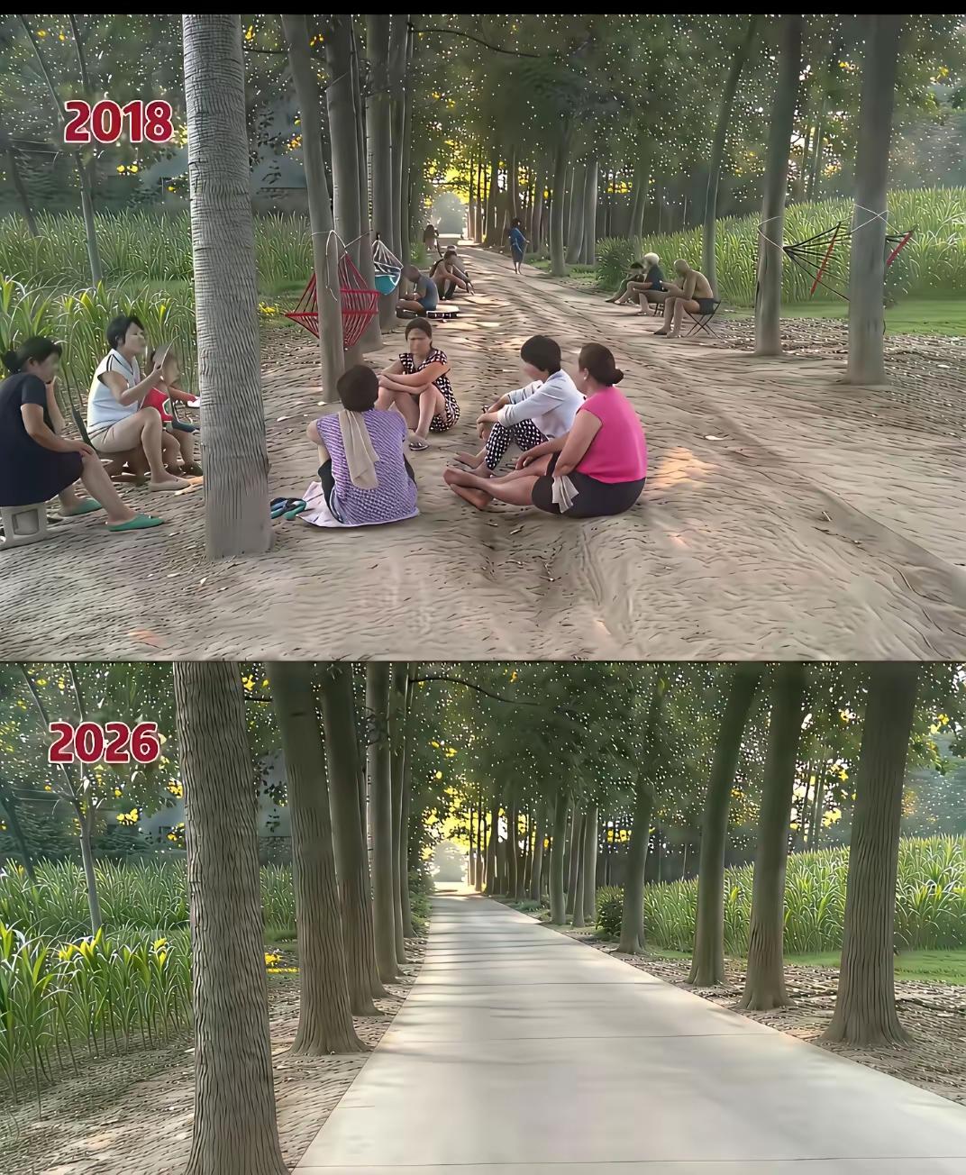老家的枣树
      路修得又宽又平坦了，日子越过越富裕了，为什么却怀念过去的