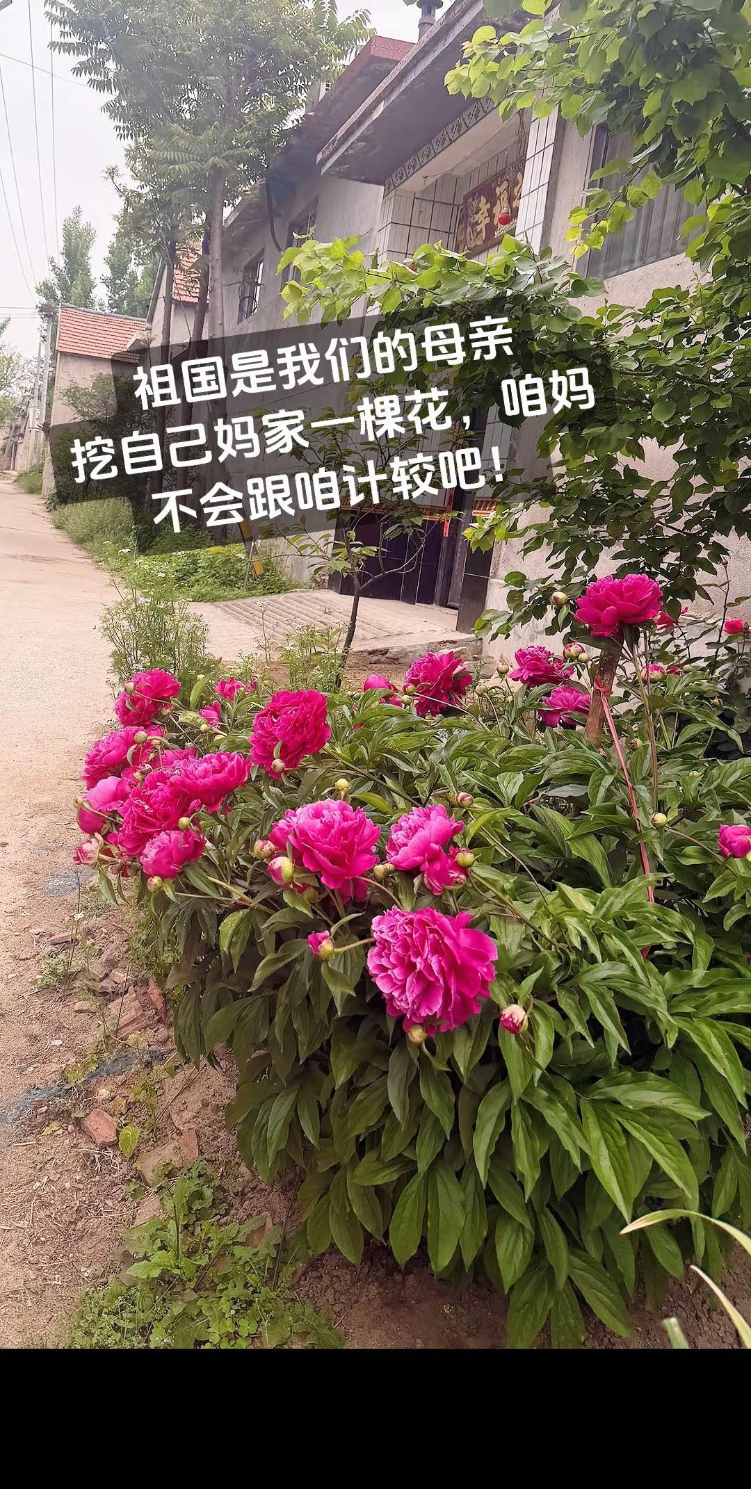你说咱妈不会生气吧？纯属娱乐请勿当真  离谱操作