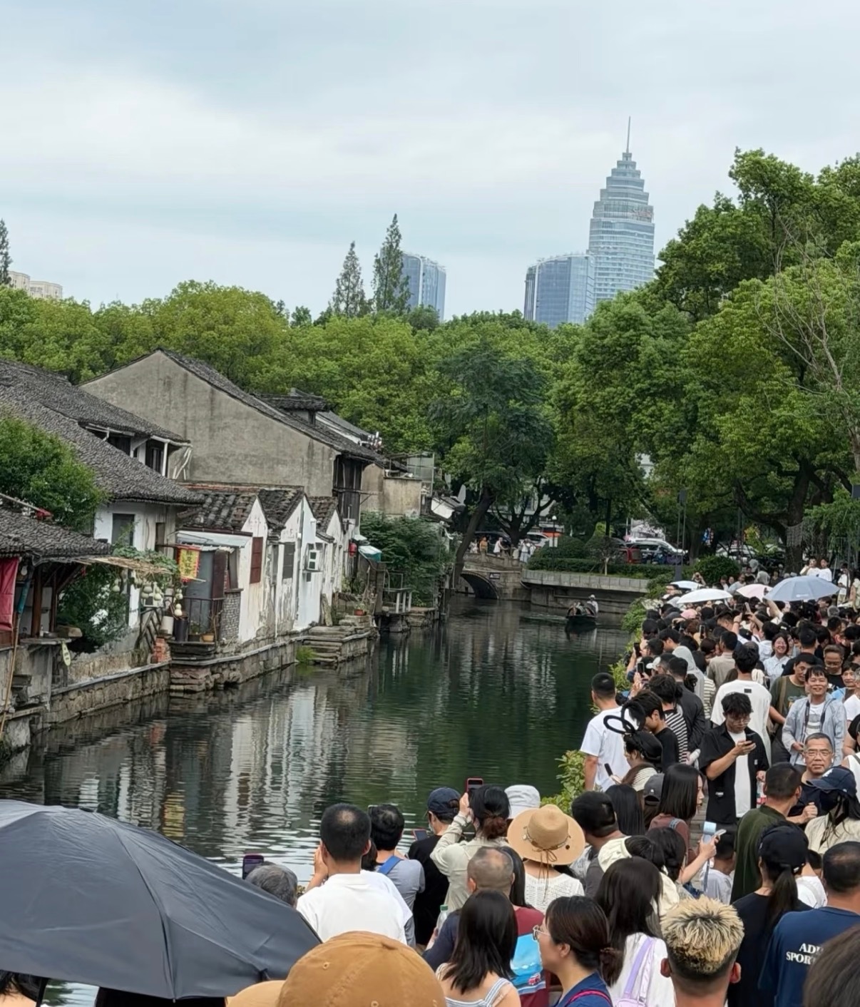 葫芦娃爷爷隔壁咖啡店挂了7个葫芦 看完反而觉得，流量能被分走未必是坏事。爷爷奶奶