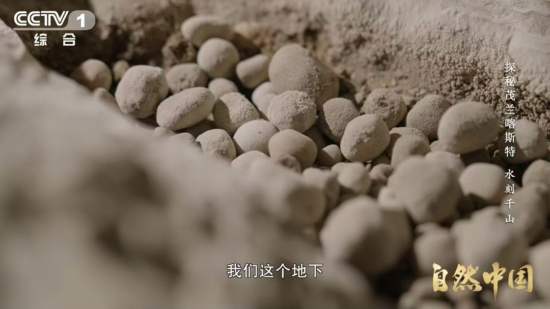 你见过石头开出的花吗喀斯特溶洞里藏着石头珍宝 在茂兰溶洞，科考队找到了两样东西：