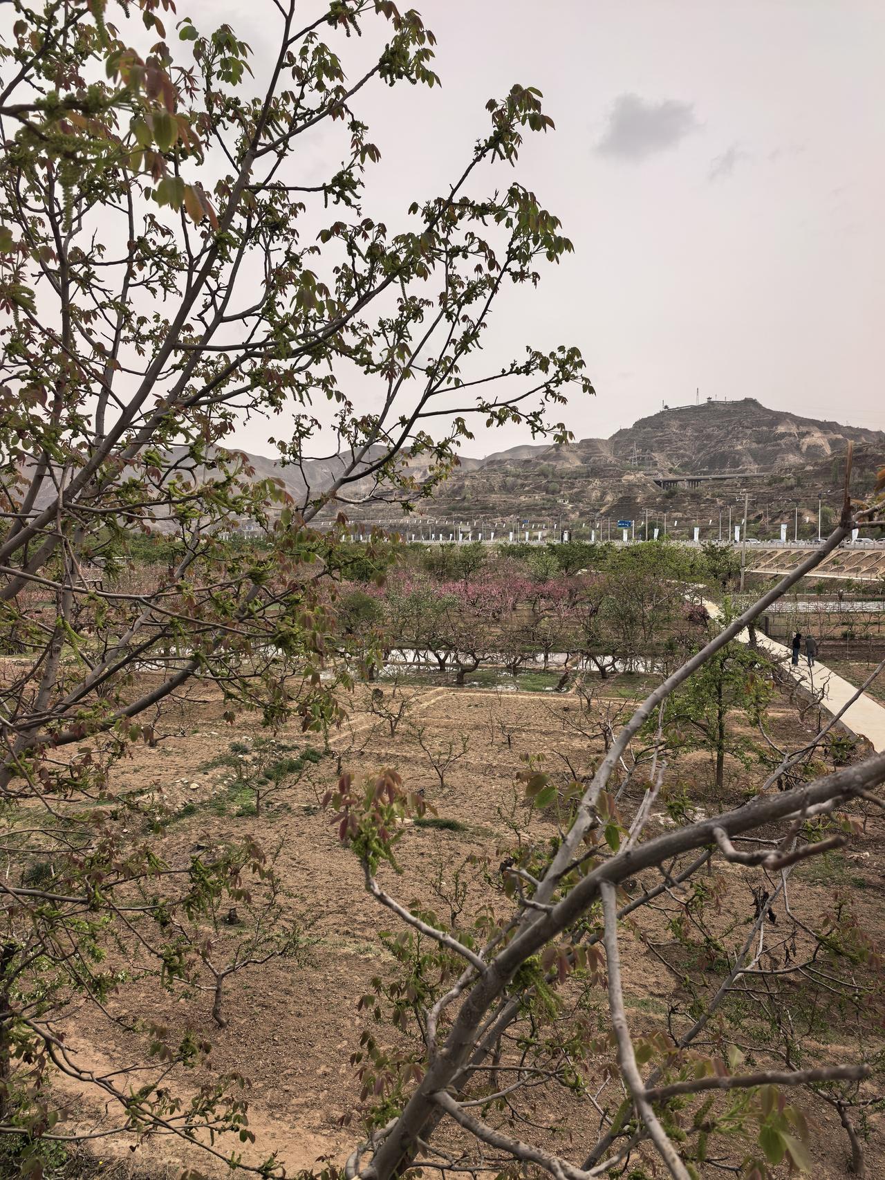 特变电工A股今日走势情况及展望

一、今日整体走势概览

特变电工今日低开高走、