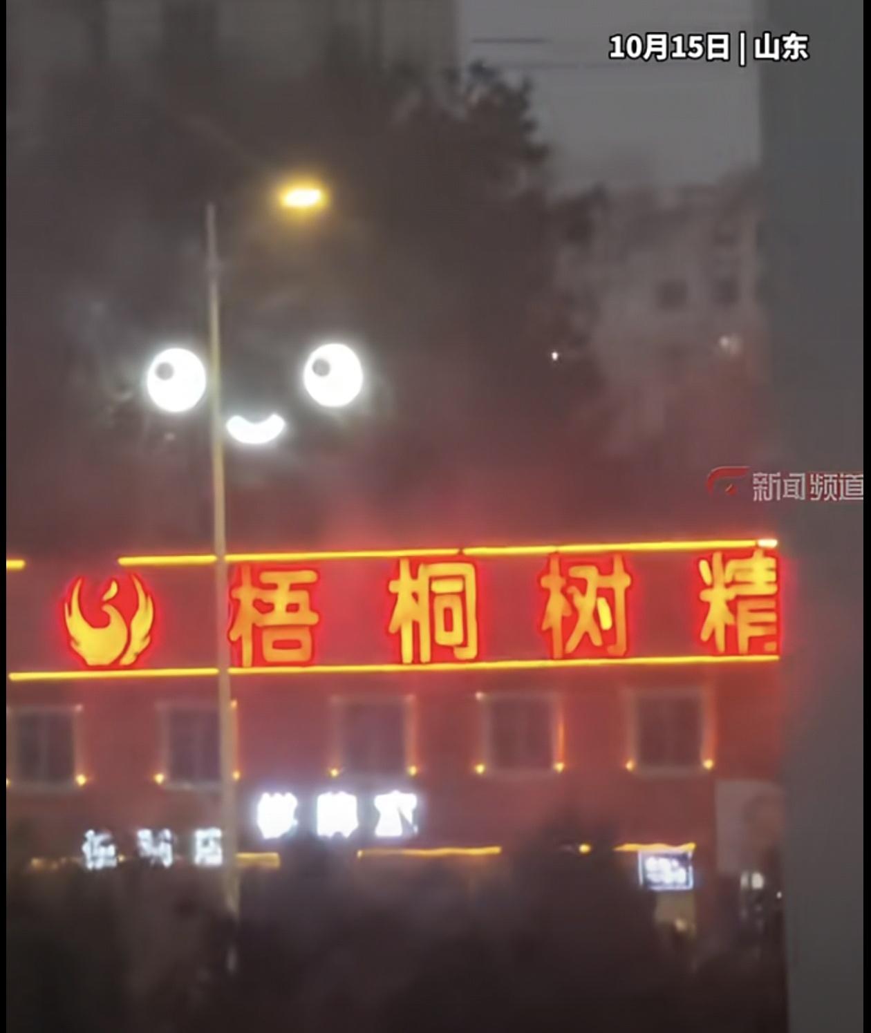 梧桐树精，吓了女业主一跳，哈哈。
山东女房客晚上到阳台，突然发现窗外远处街道上，