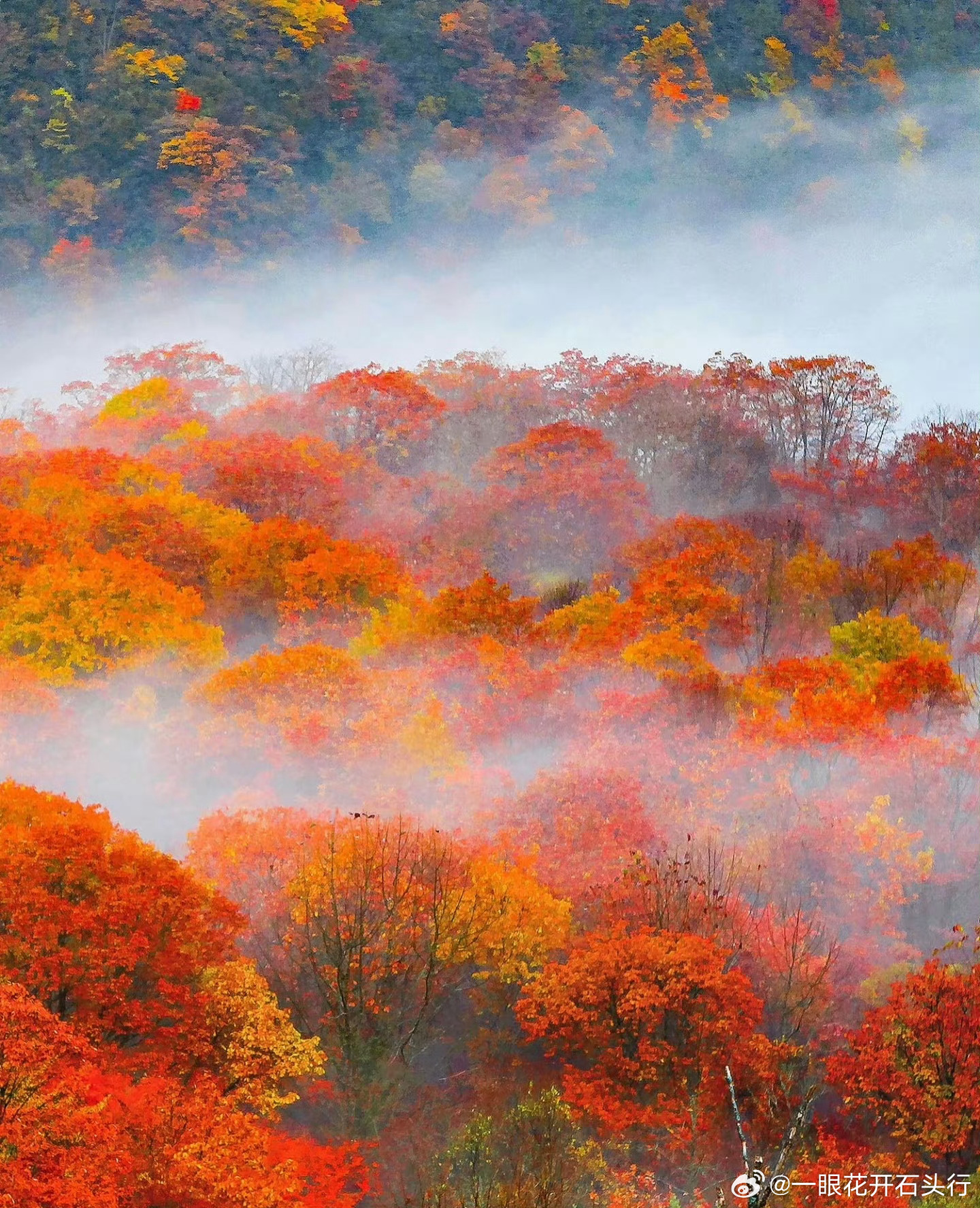科技成长，高端制造 ​​​