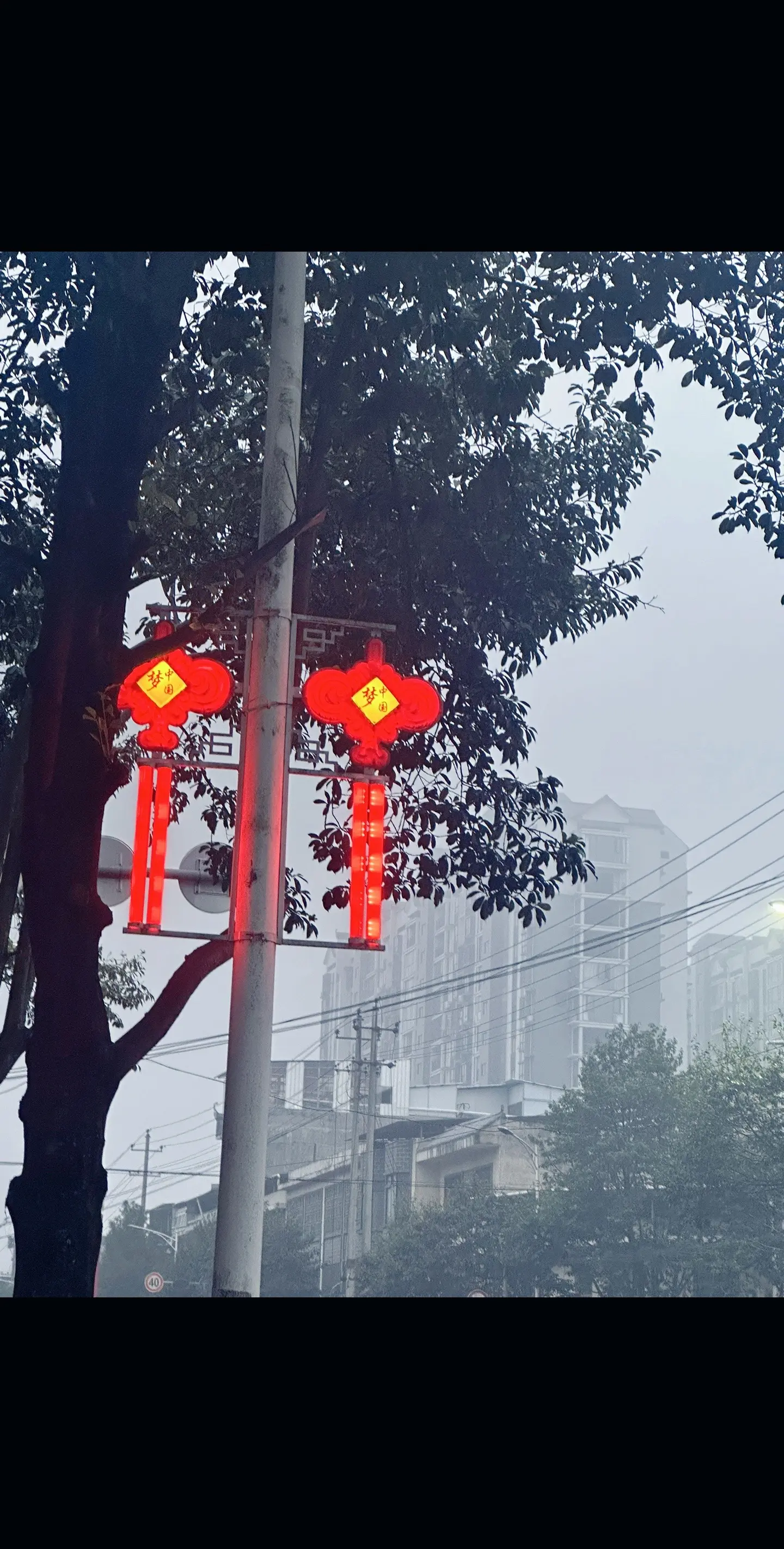 《遥遥万乡》 藏区司机x少女画师，公路救赎文，女主因家庭变故前往香格里拉旅游，对旅游团司机一见钟情，两人在旅途中不断试探拉扯，最终确定彼此的心意。
谁能拒绝为爱挡酒、不惜过敏的男主啊，真的很爱糙汉男主露出柔软面的反差感！
