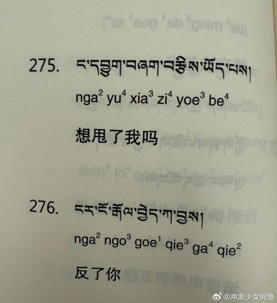 这回真学到实用藏语了 