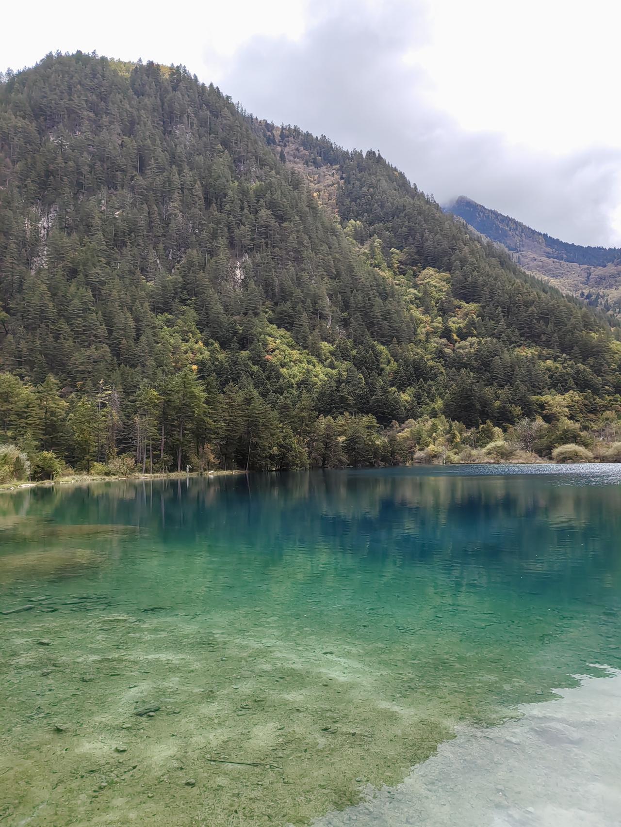 尽管九寨沟景色美丽超常，不过身处九寨沟景区却无法疗愈心情，这是因为漫步在九寨沟，