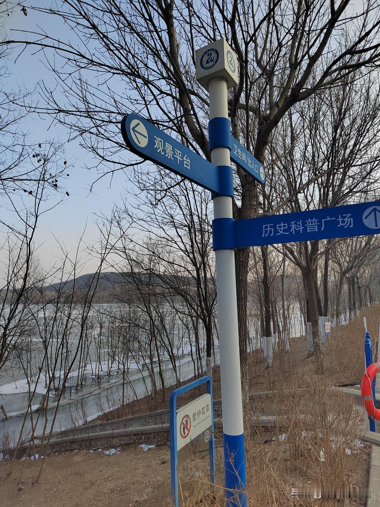 晒图笔记大赛冬天的树，是写意，是极简主义，是深冬独有的美景。