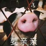 小台读读科技