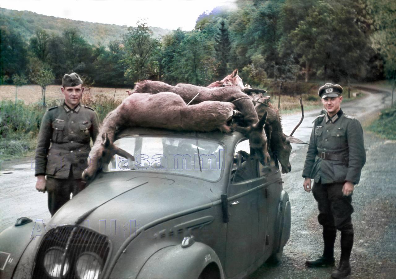 一些罕见的照片，照片中，隶属于第71步兵师第119步兵团的德意志国防军士兵在19