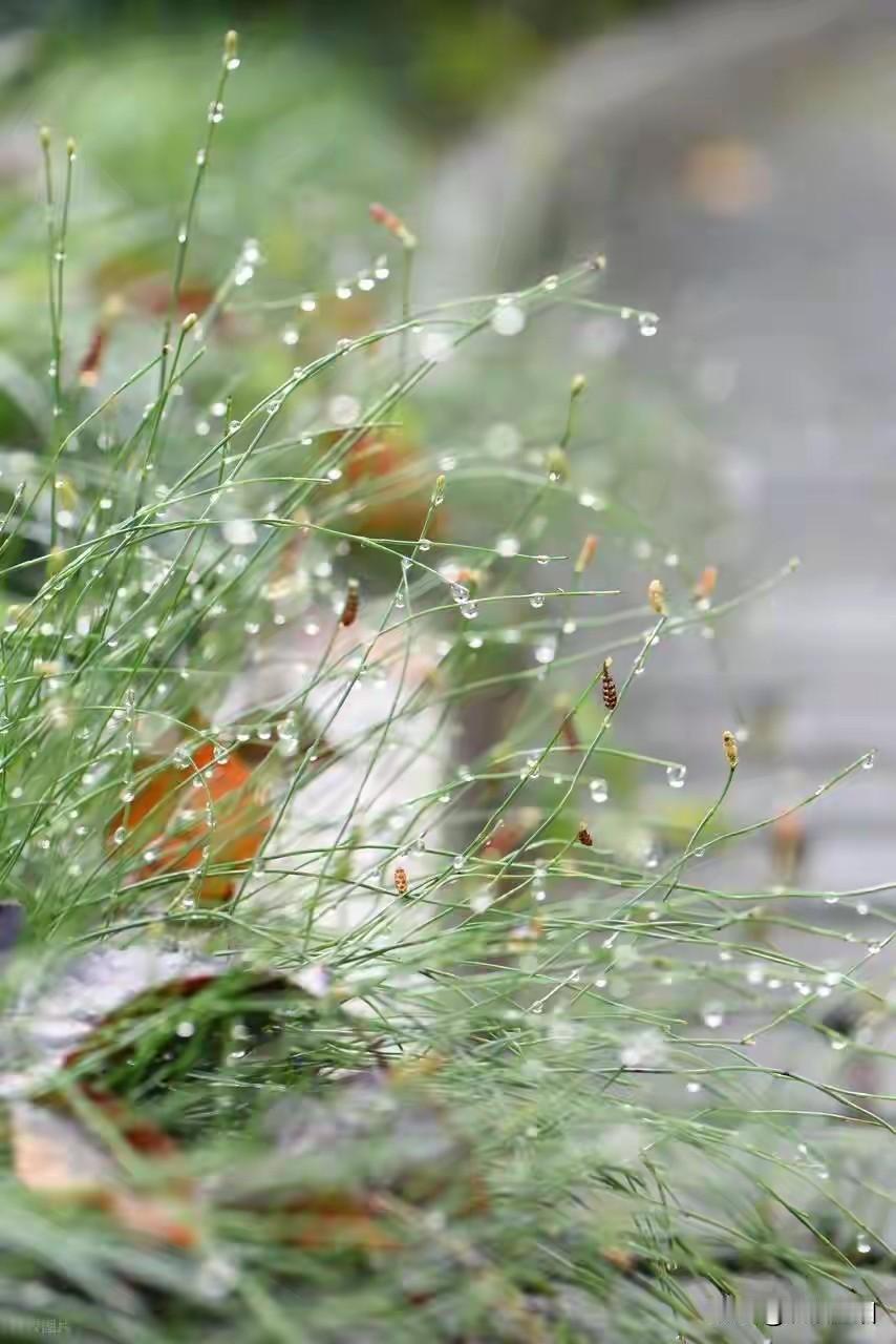 这个世界真正的胜利者，只有这三种人

一、心情好，不被感染的人。人生无论到什么地