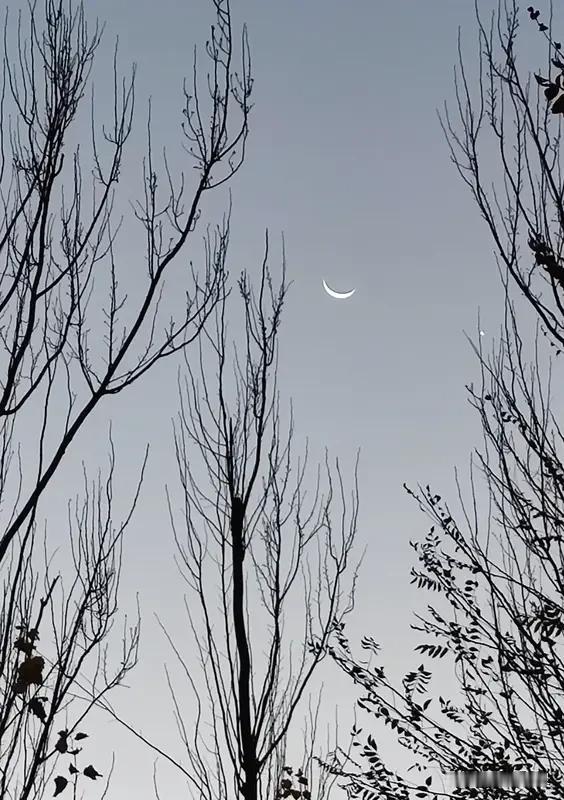 一弯月牙和一颗星
点缀在深蓝的天幕上
天即将黑下来
田野里刮着凉爽风玉米叶子
呼
