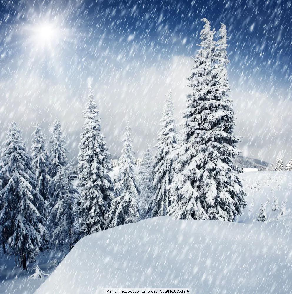 《雪飘过的足迹》
 雪，轻轻飘落
像天使洒下的羽毛
在大地上留下了神秘的足迹
 