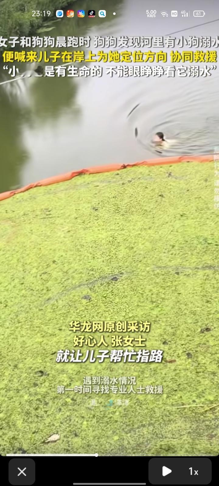 8月30日，盐城东台市。女子发视频称，和狗狗晨跑时，狗狗发现河里有小狗溺水，便打