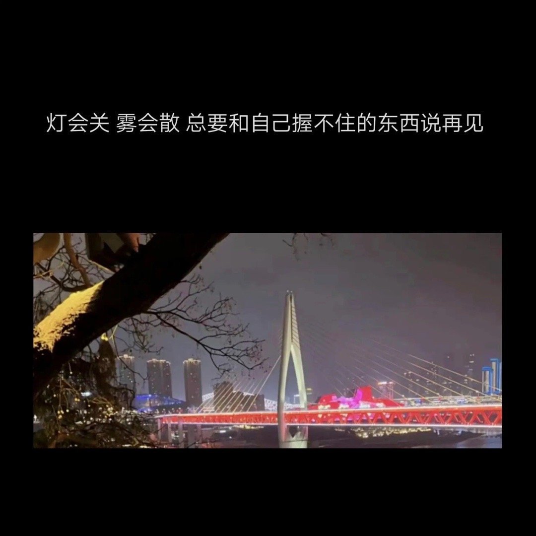 以后不会了 也没有以后了 