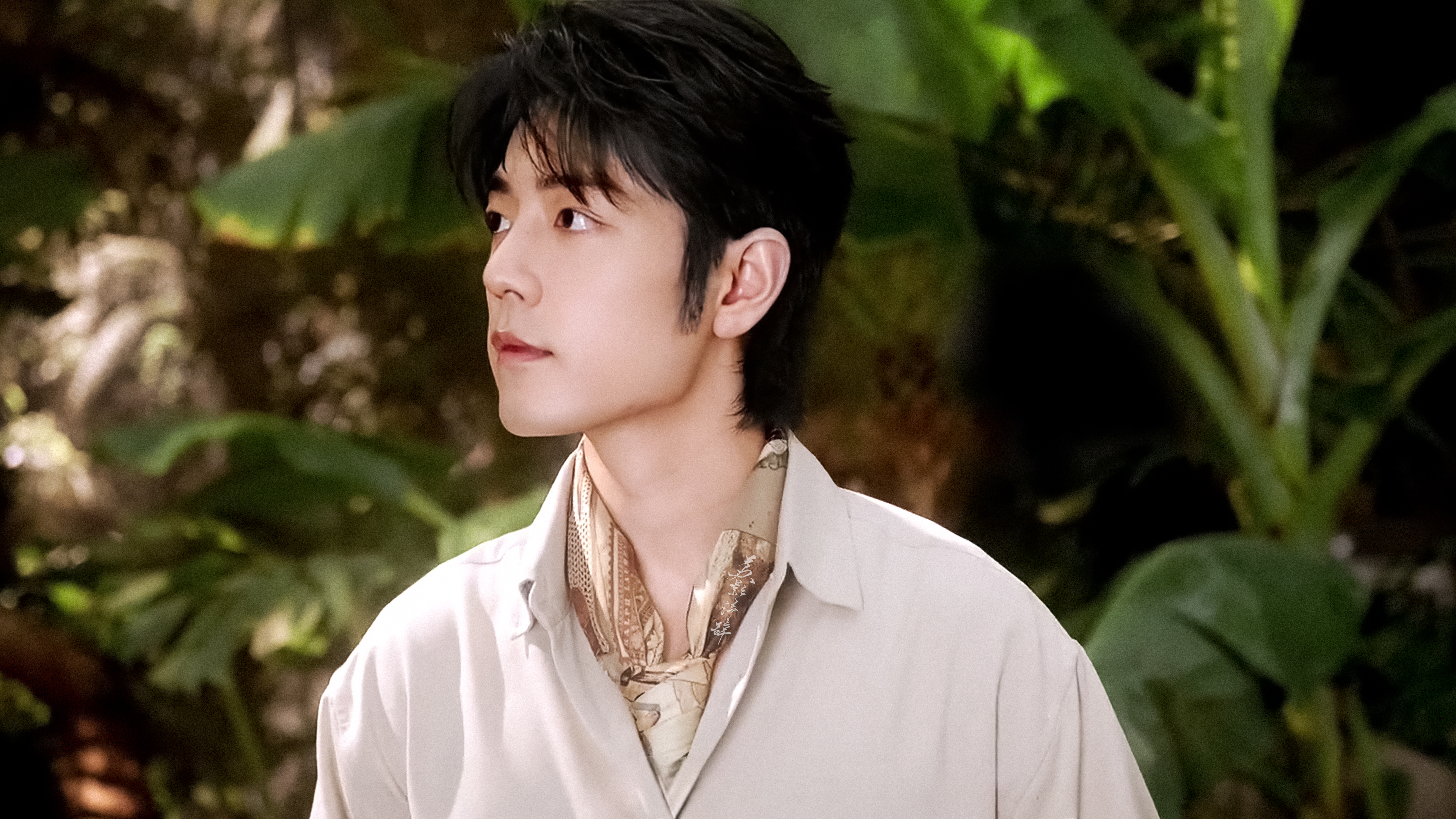 横版电脑壁纸｜日光月色都为你沉沦误入人间的精灵～手机壁纸点这里网页链接肖战