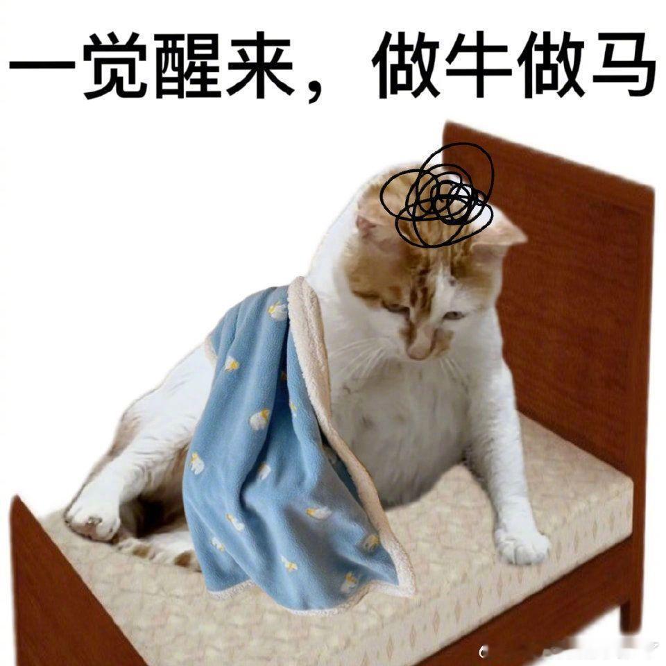 《上班第一天的精神状态》 ​​​