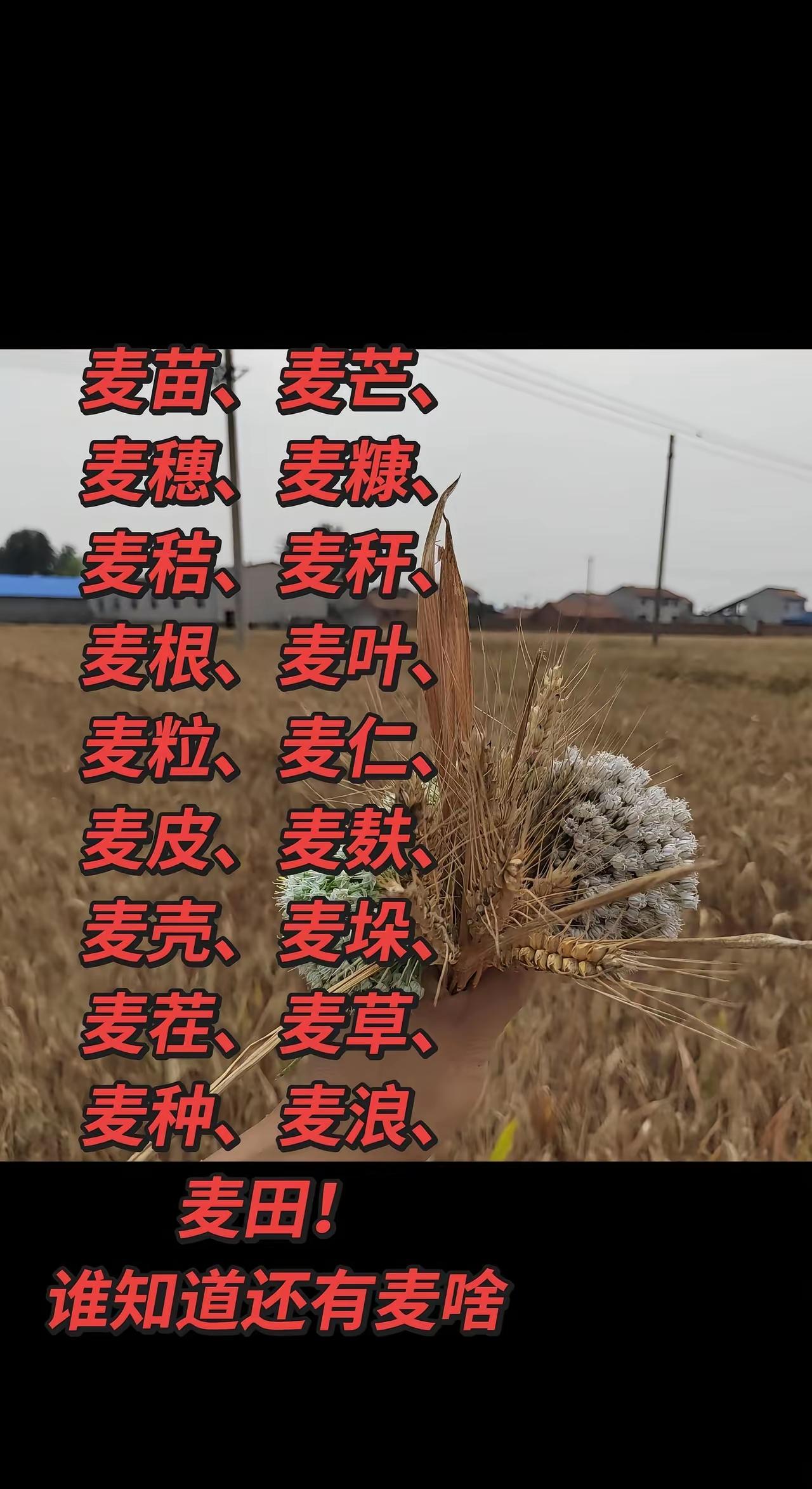 一道农业题，难住了学子。河南中考的一道农业题，让许多学子力不从心。反映出了当前我