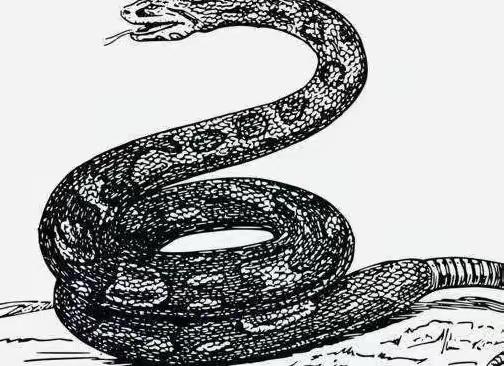 古时，一男子去赴宴途中，见一母蛇难产，当即决定为母蛇接生。可母蛇生下小蛇后，竟然