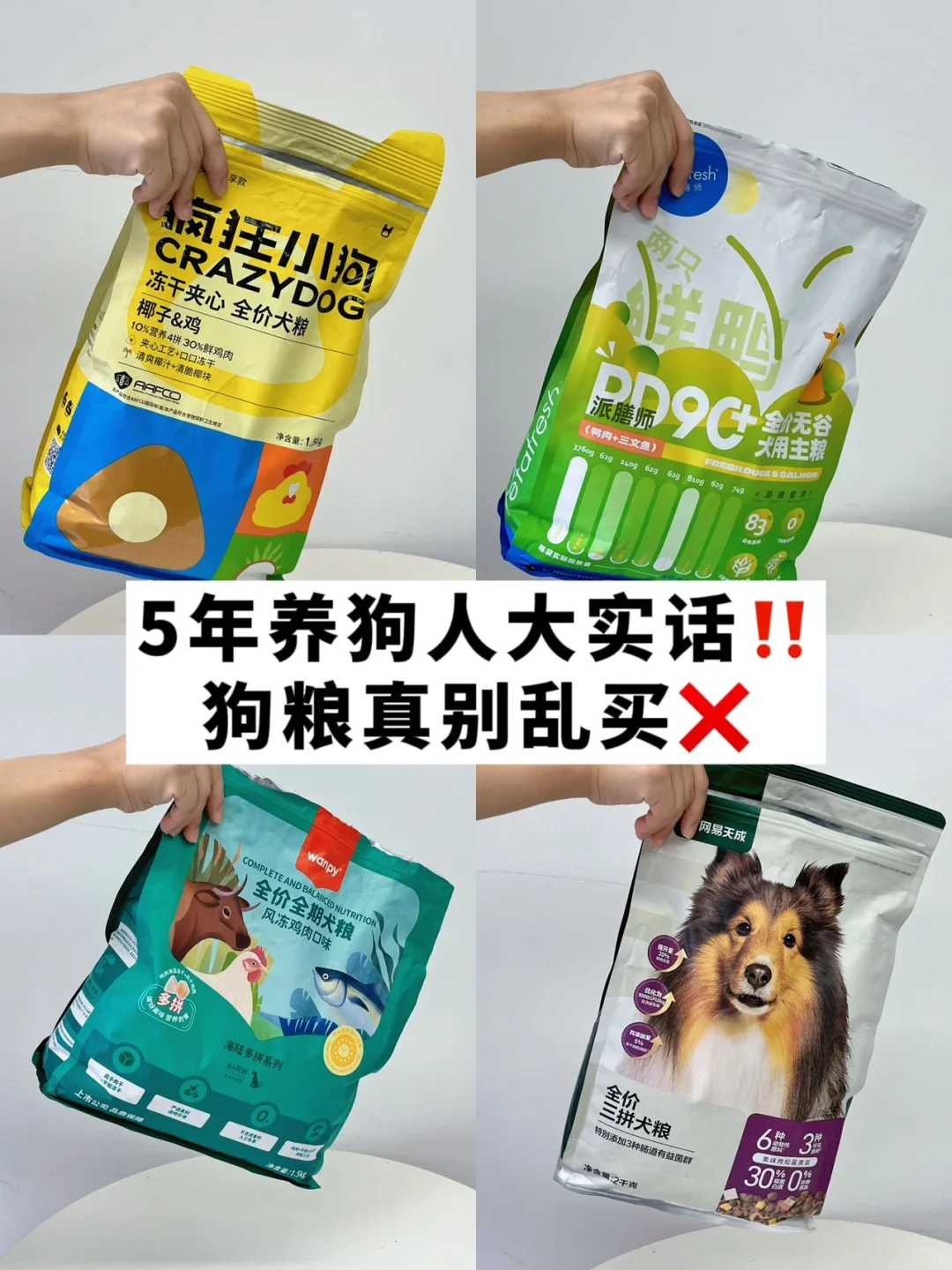 新手铲屎官听劝‼别再盲目跟风买狗粮💥