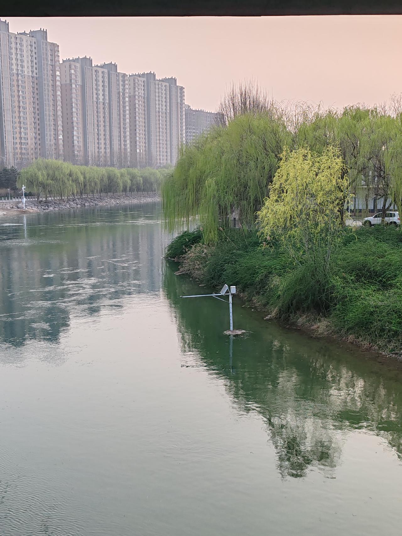 我肯定会参与“一叶扁舟泛绿水”的文笔挑战！就拿“两岸青树沐轻风”来说，画面感直接