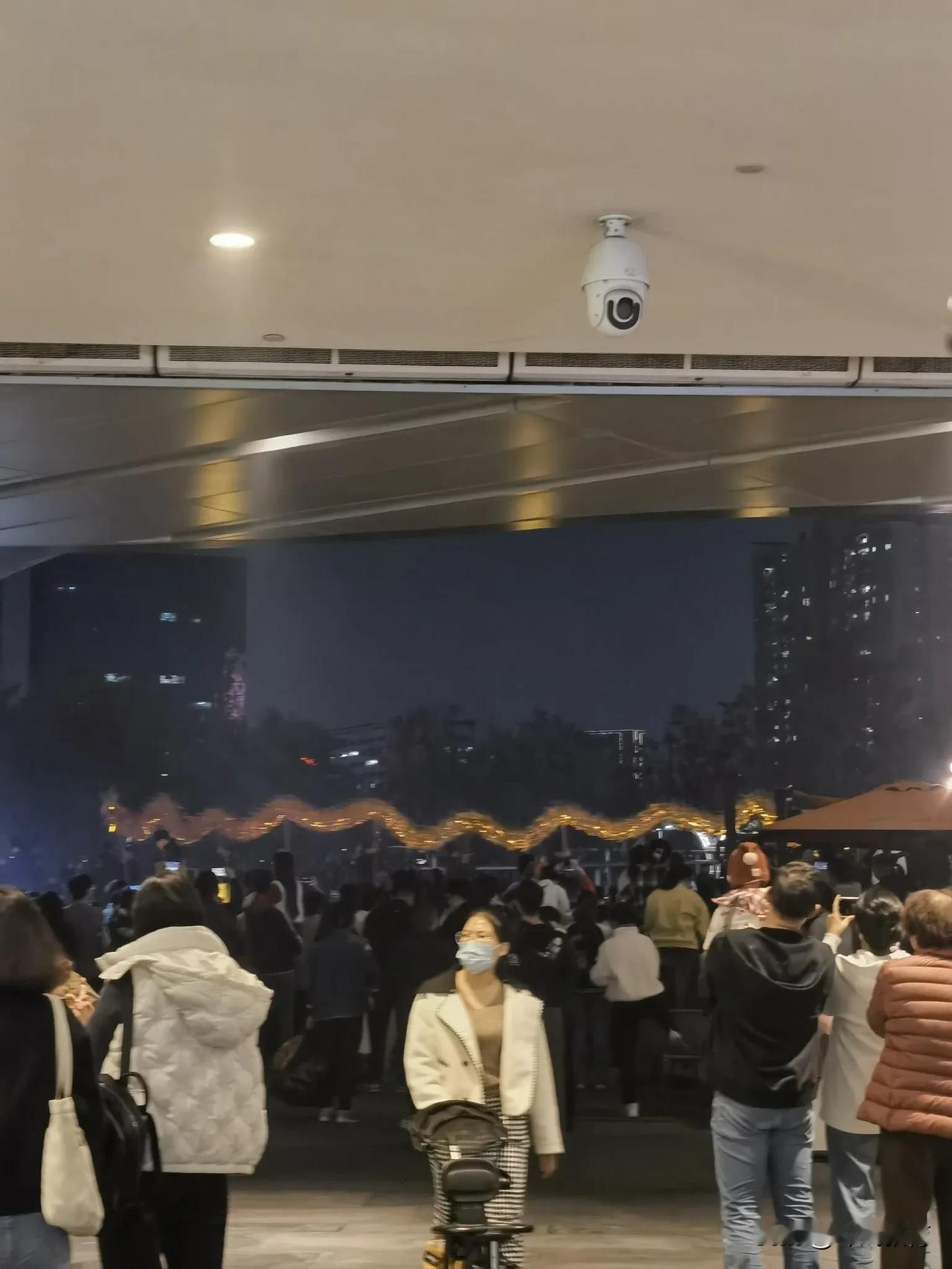在深圳看舞龙灯！
