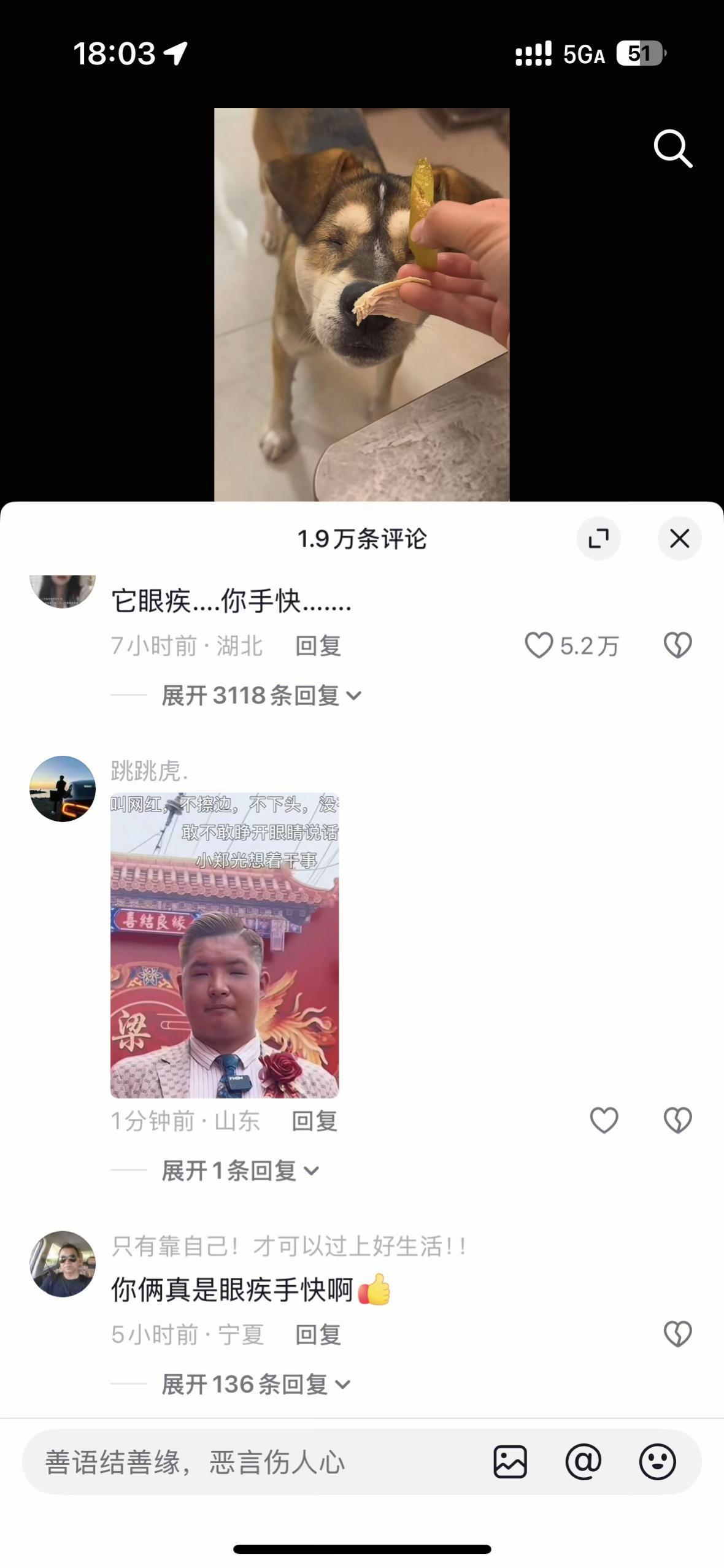 它眼疾，你手快