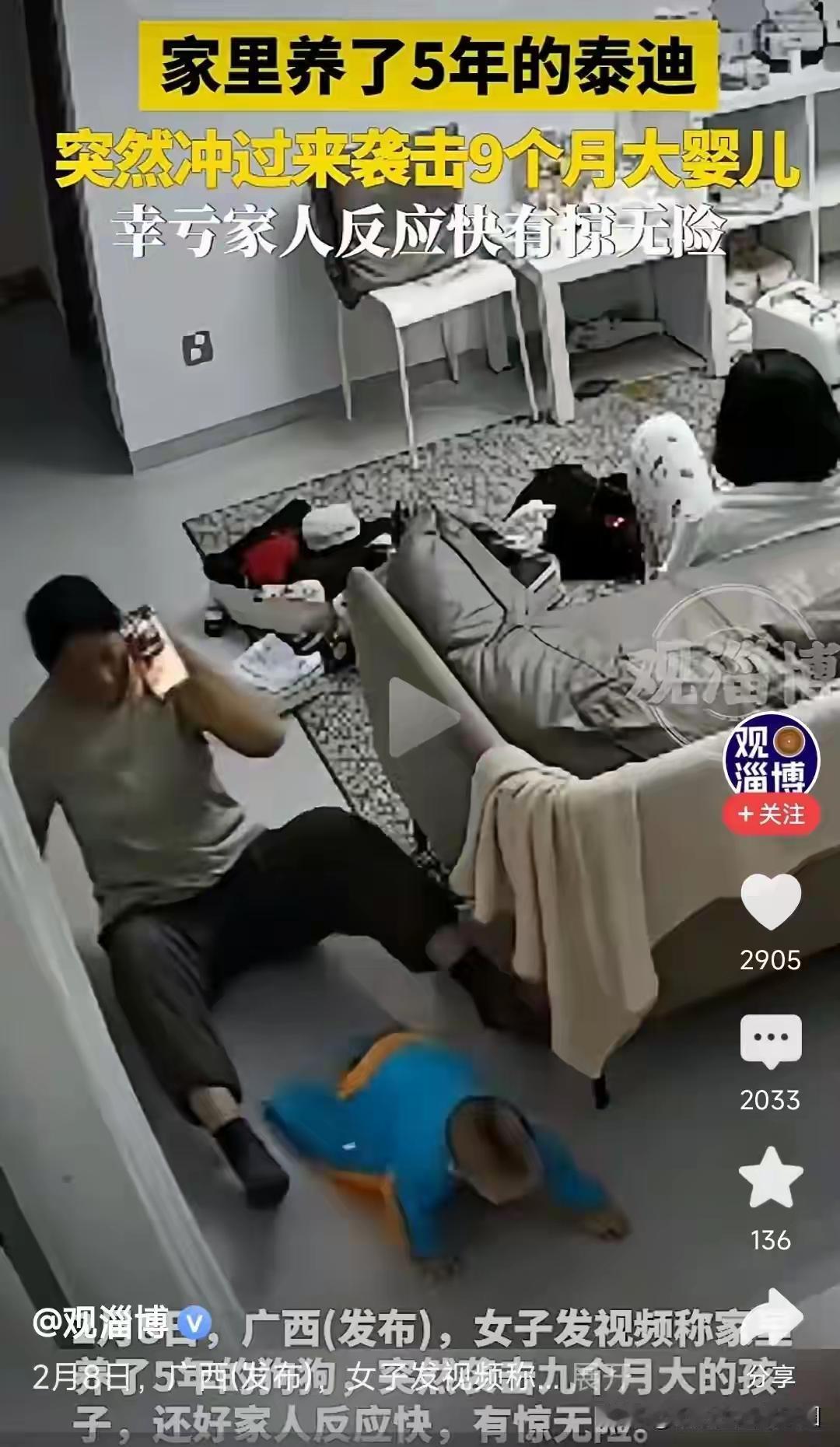 家养5年的温顺泰迪，竟突然袭击家中9个月大的婴儿，事发突然令家长措手不及。婴儿受