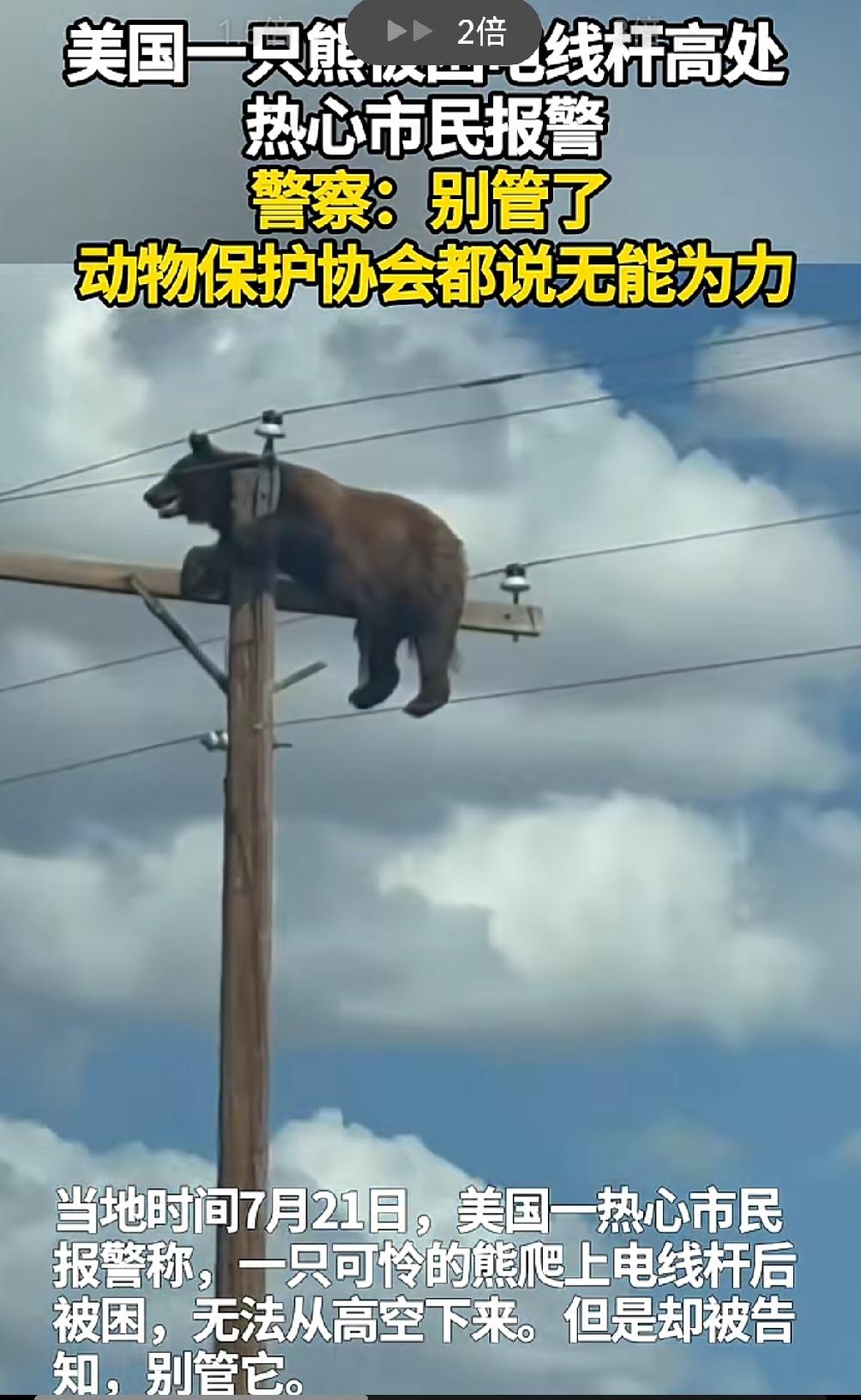按古墓派公知说法，不该是立即动用飞机撞断电线杆，把可怜的熊熊救下来吗？
牢美你变