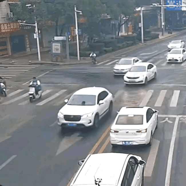 这个是拍电影特技表演吗？