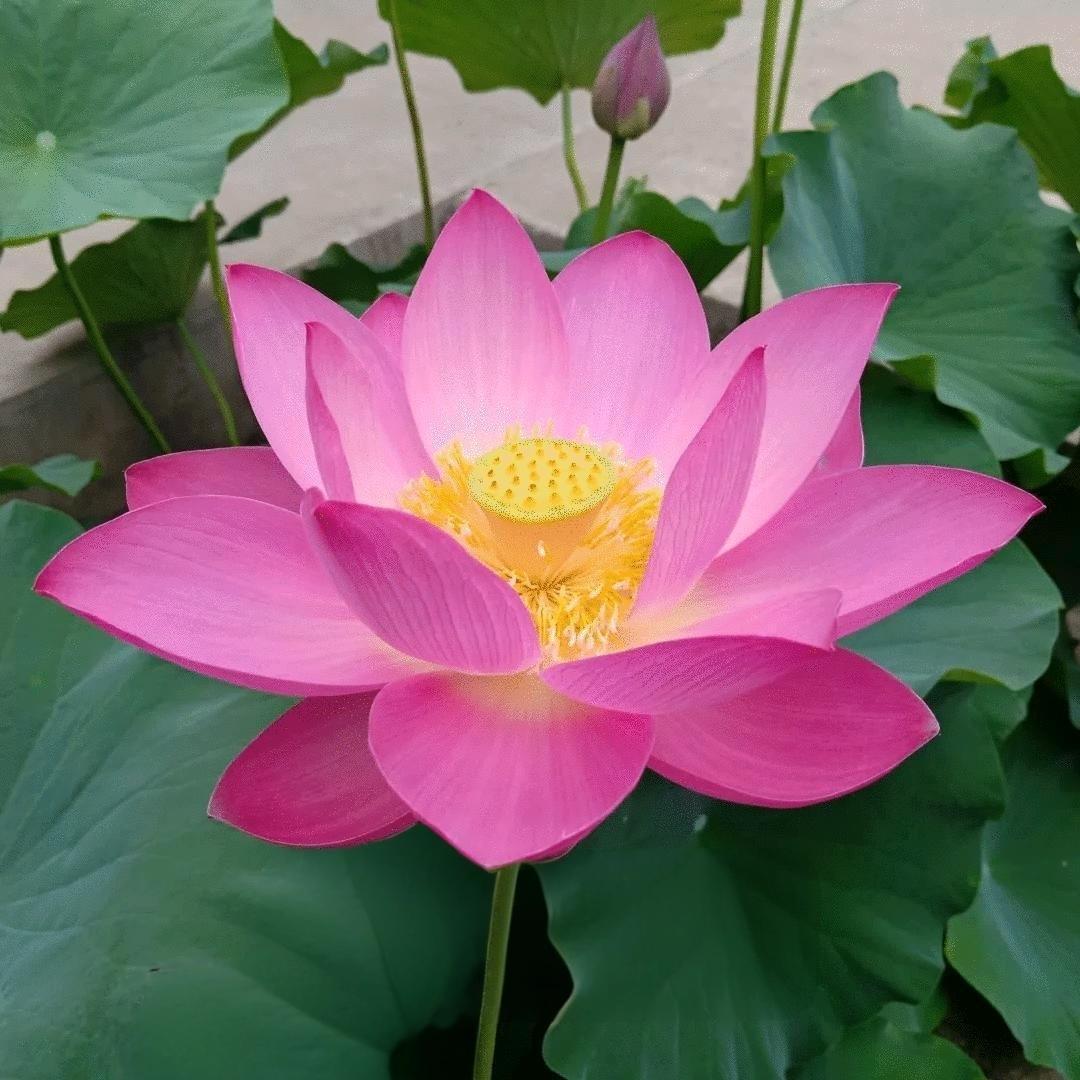 过去总觉得人要去寻找到对的人才会圆满，
后来发现这世上根本就没有一模一样的灵魂，