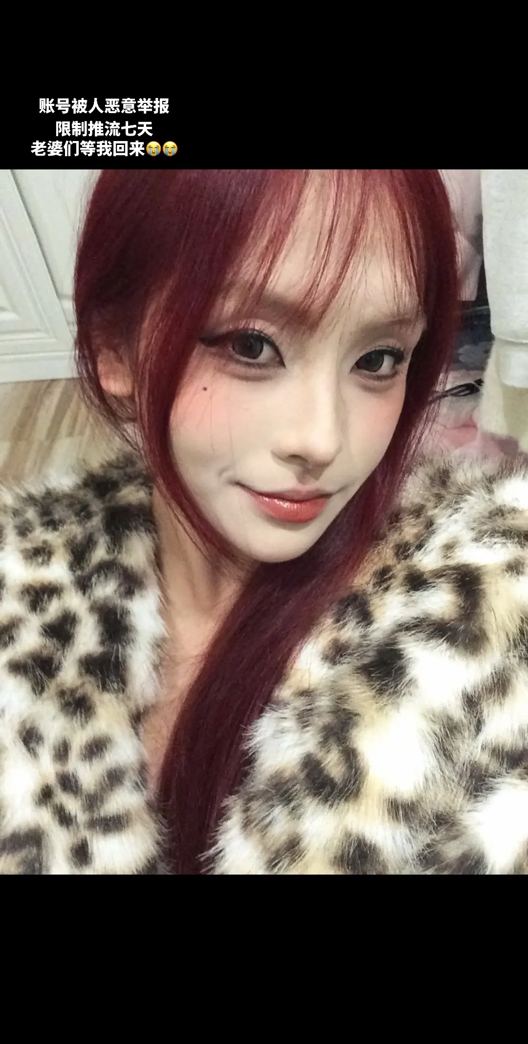 硬照