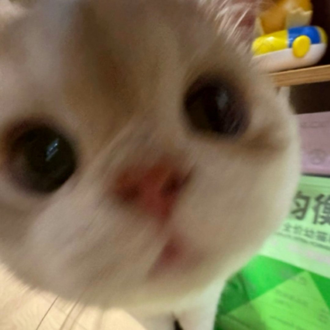 将把我碎碎念都叨叨进来 