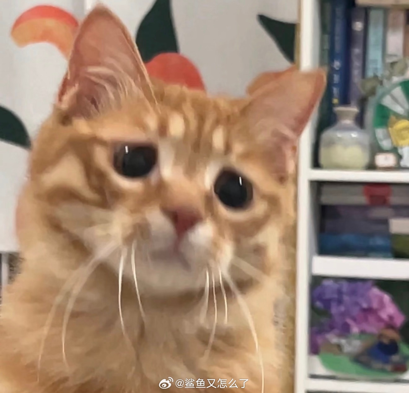 正面是这样的: 