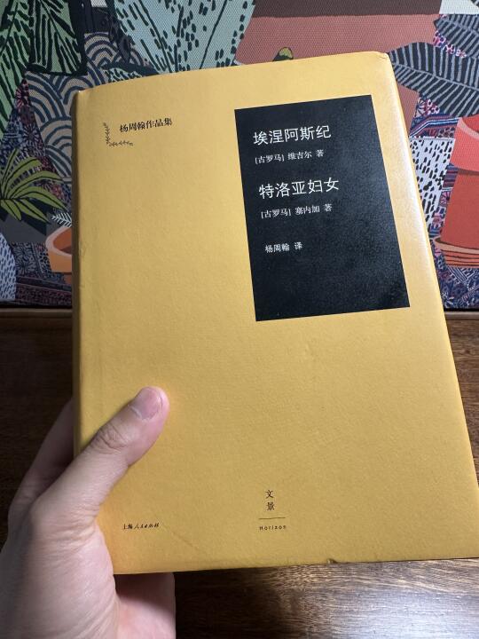 26《埃涅阿斯纪》——永恒的维吉尔