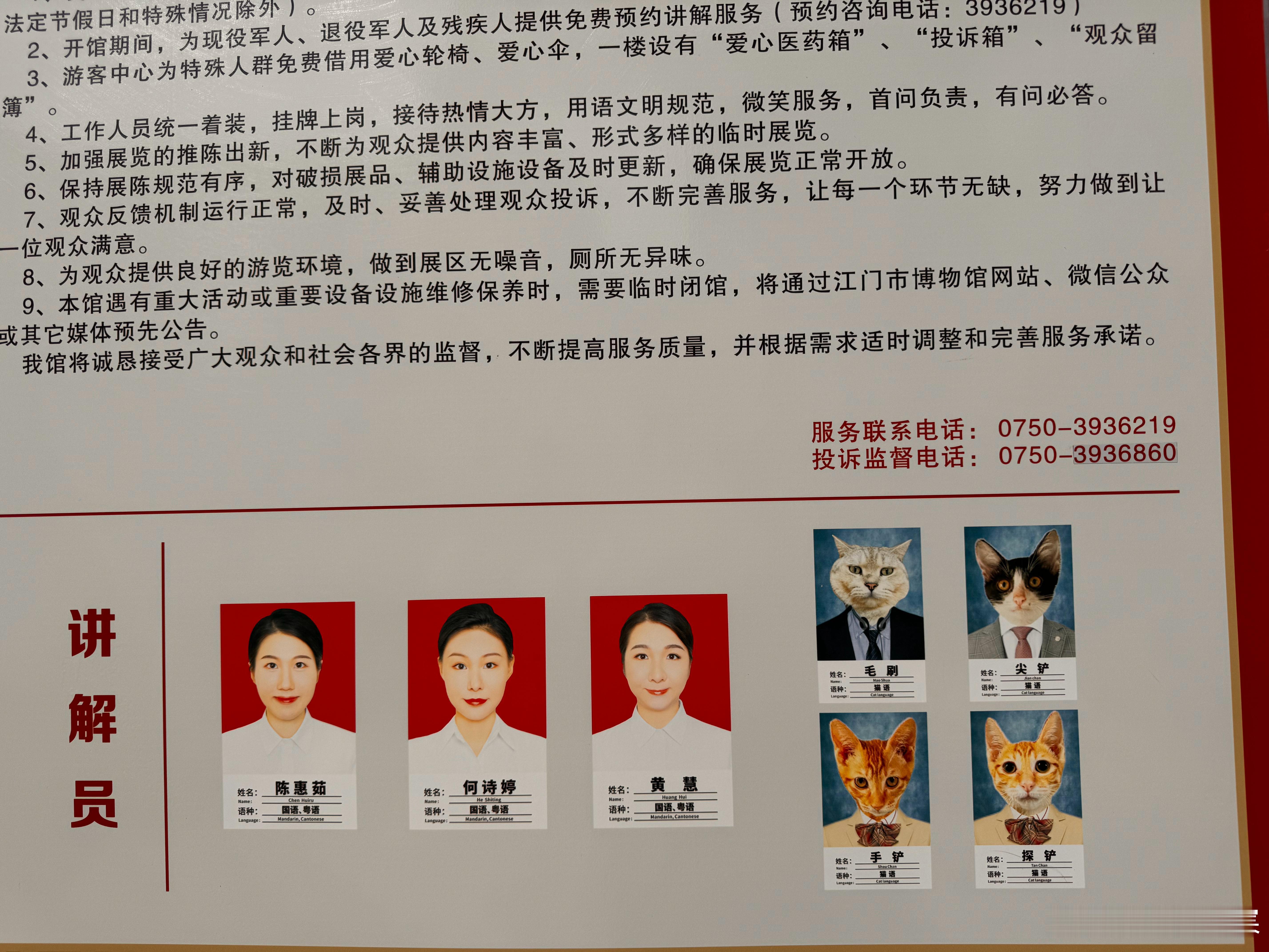 岽游记  猫猫讲解员你好🐱 