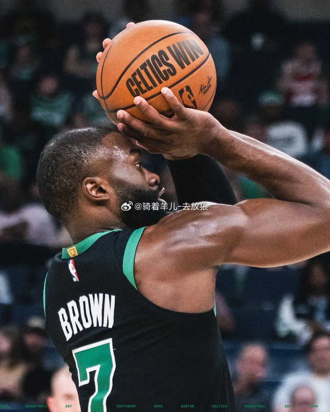 nba常规赛 森林狼末节发力终结凯尔特人4连胜，布朗29分7篮板塔图姆16+11