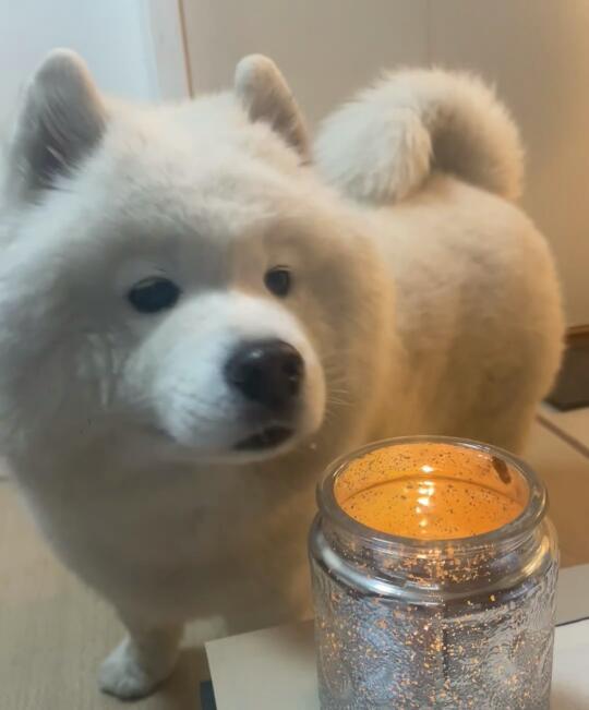 人人，外面下着雨，你的心有在下雨吗？