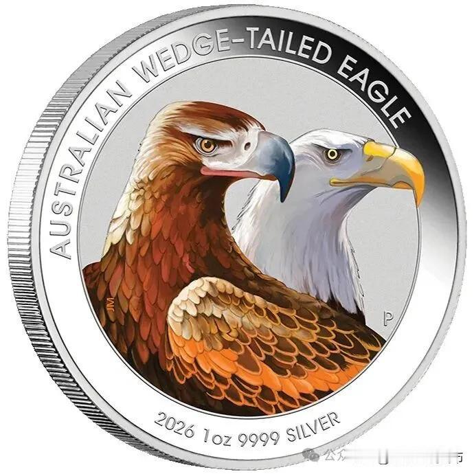 2026年澳大利亚及图瓦卢发行新品信息

楔尾鹰因其长而独特的尾形得名，是澳大利