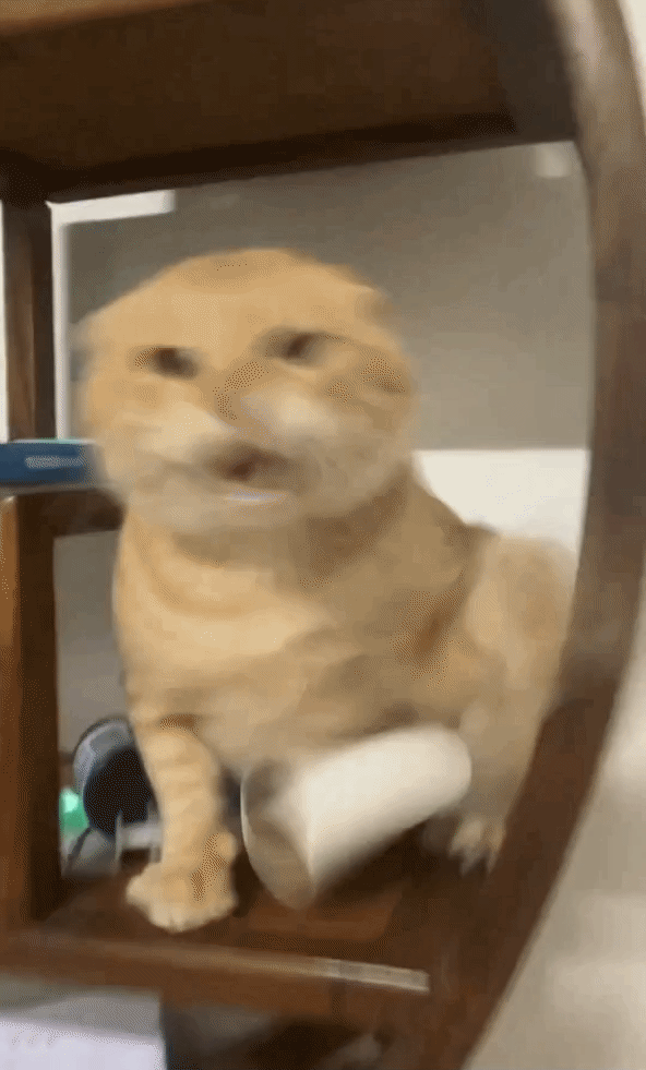 我去，白银黄金涨疯了.... 