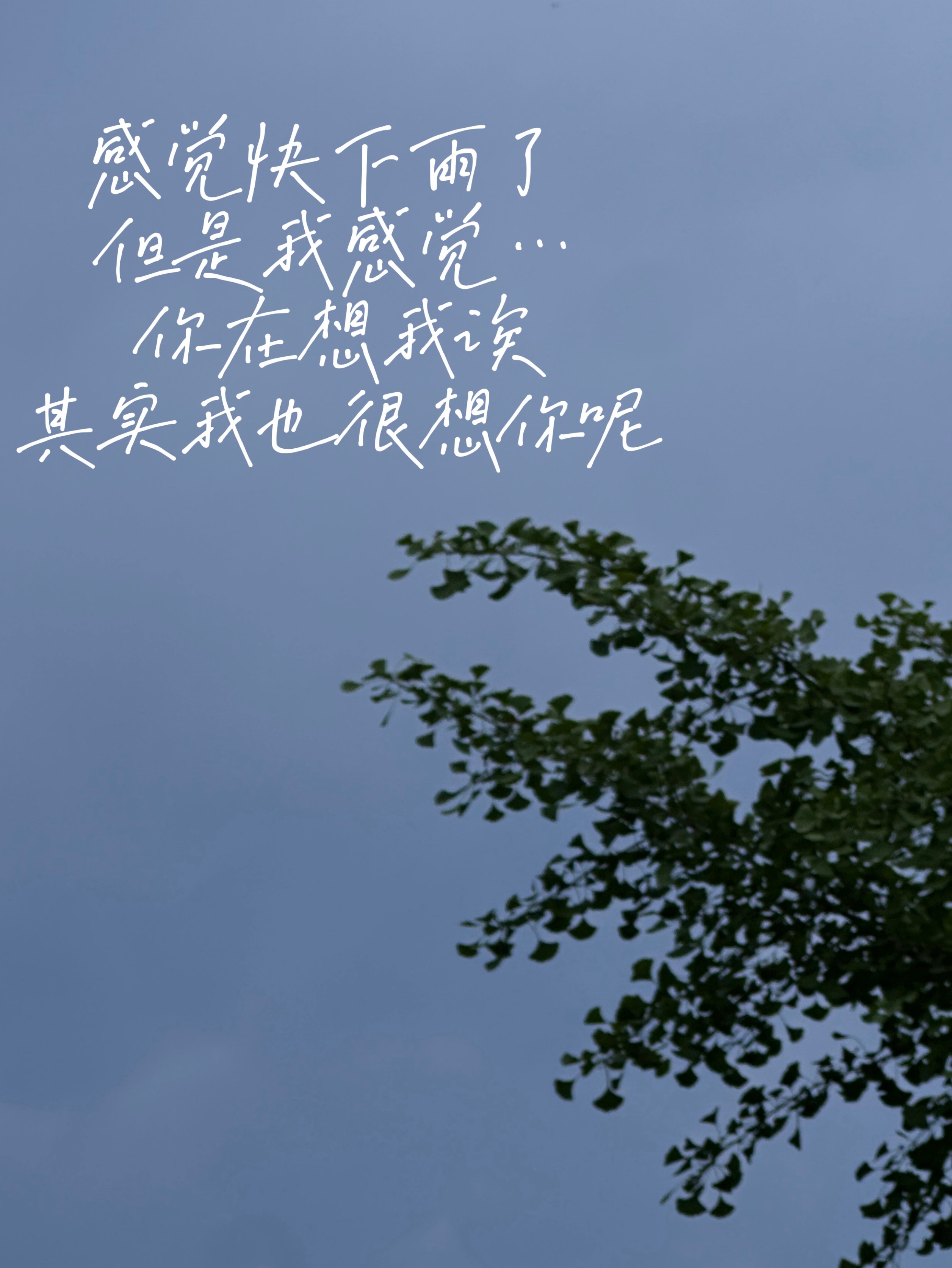 我靠我也想你了😭 