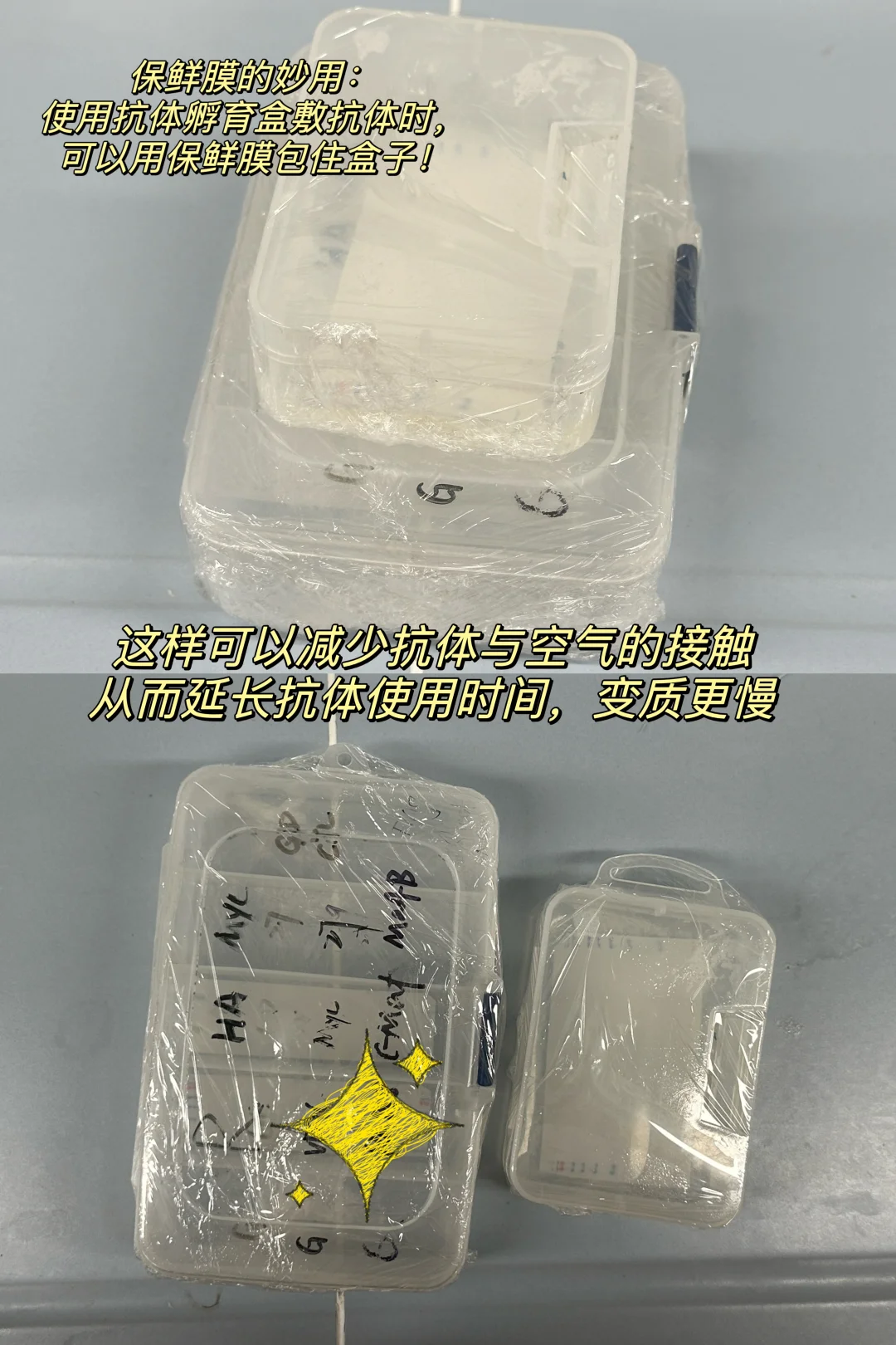 科研好物分享❗️（实验小技巧）2️⃣