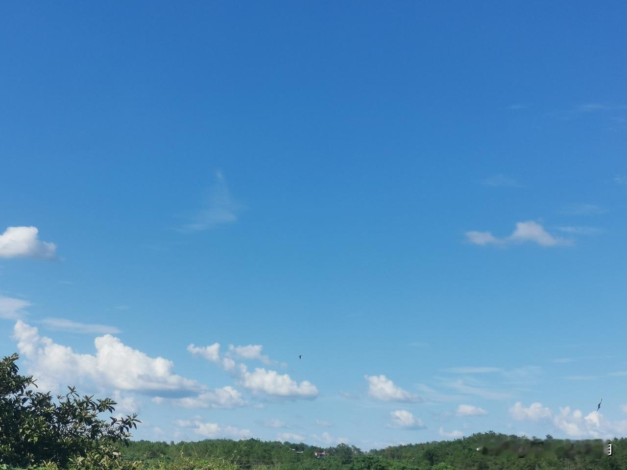 妈耶！我就随手一拍，这蓝天是不是太好看了！那云飘得慢悠悠的，懒洋洋一样，已经冬天