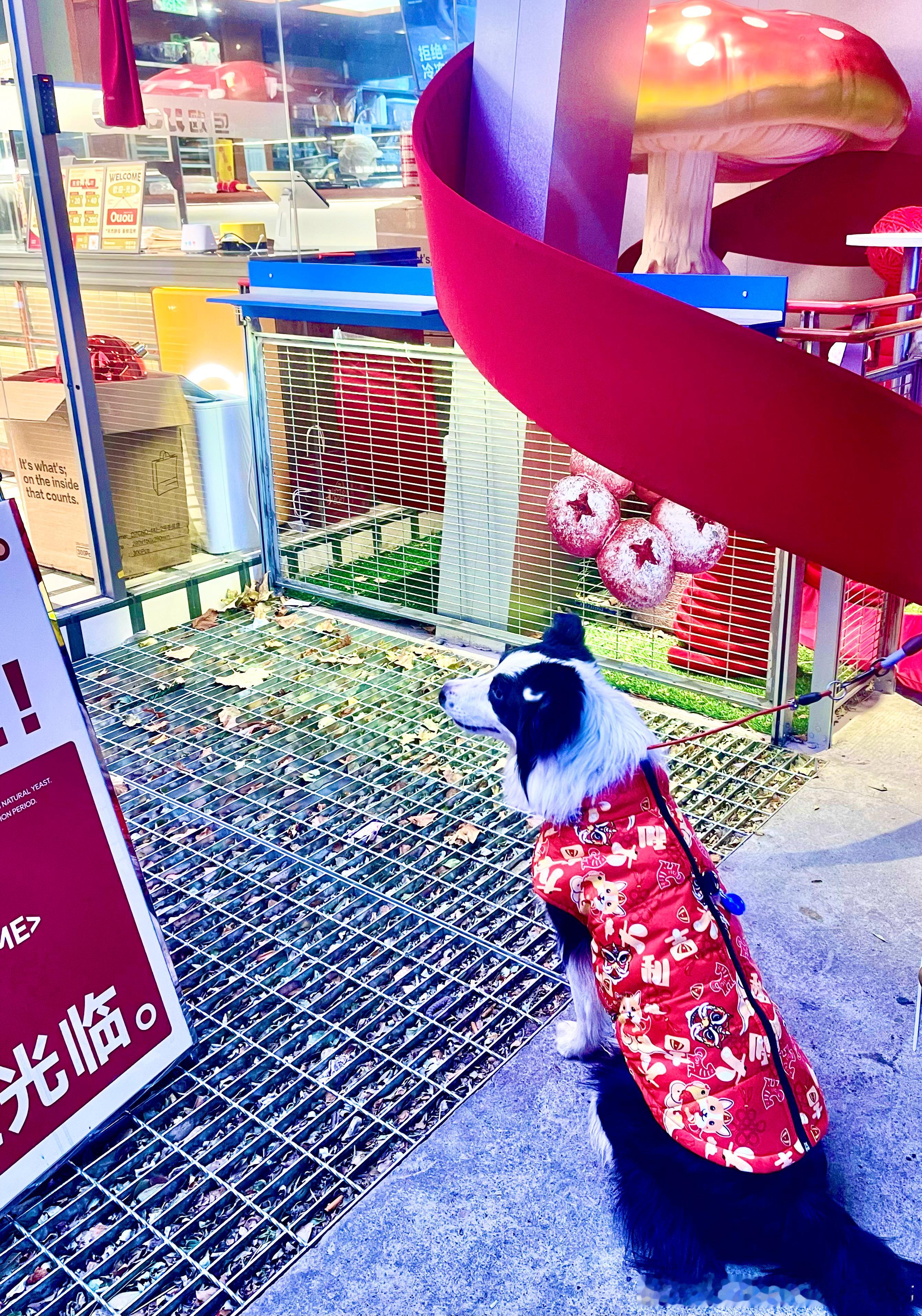 晚安💤        三里屯ouou面包真不错，小红书上大网红开的，每天都排队